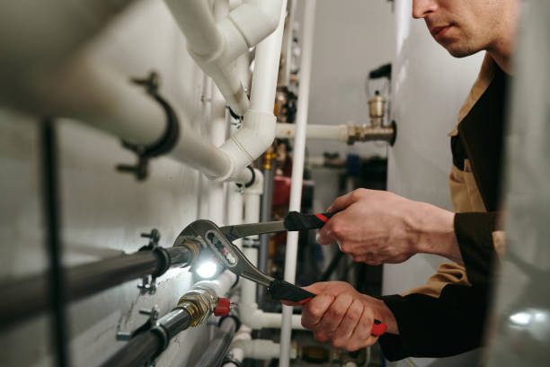 Best Residential Plumbing Services  in Palo, IA