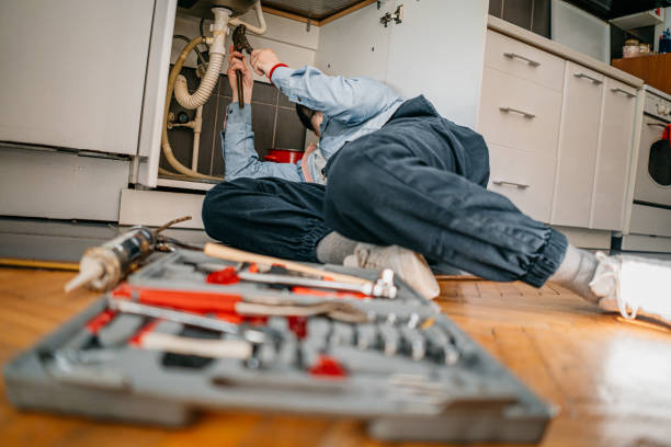 Best Affordable Plumbing Services  in Palo, IA