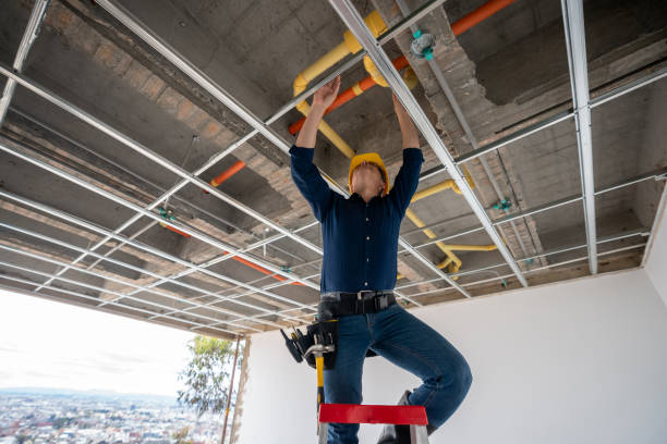 Best Water Leak Repair  in Palo, IA