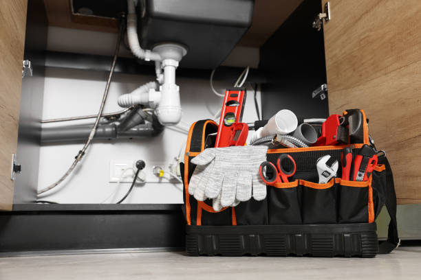 Best Emergency Plumbing Repair  in Palo, IA
