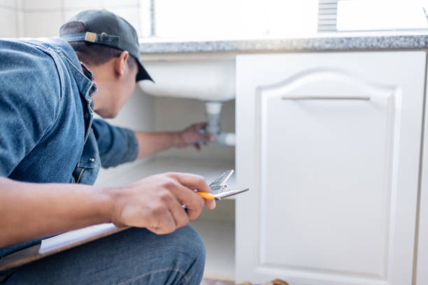 Best Plumbing Inspection Services  in Palo, IA