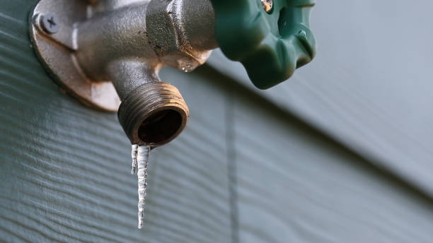 Best Affordable Plumber Near Me  in Palo, IA