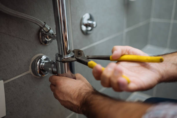 Best Leak Detection Services  in Palo, IA
