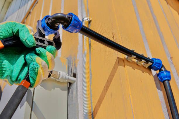 Best Local Plumber Services  in Palo, IA