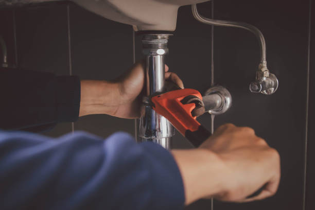 Best Plumbing Inspection Services  in Palo, IA